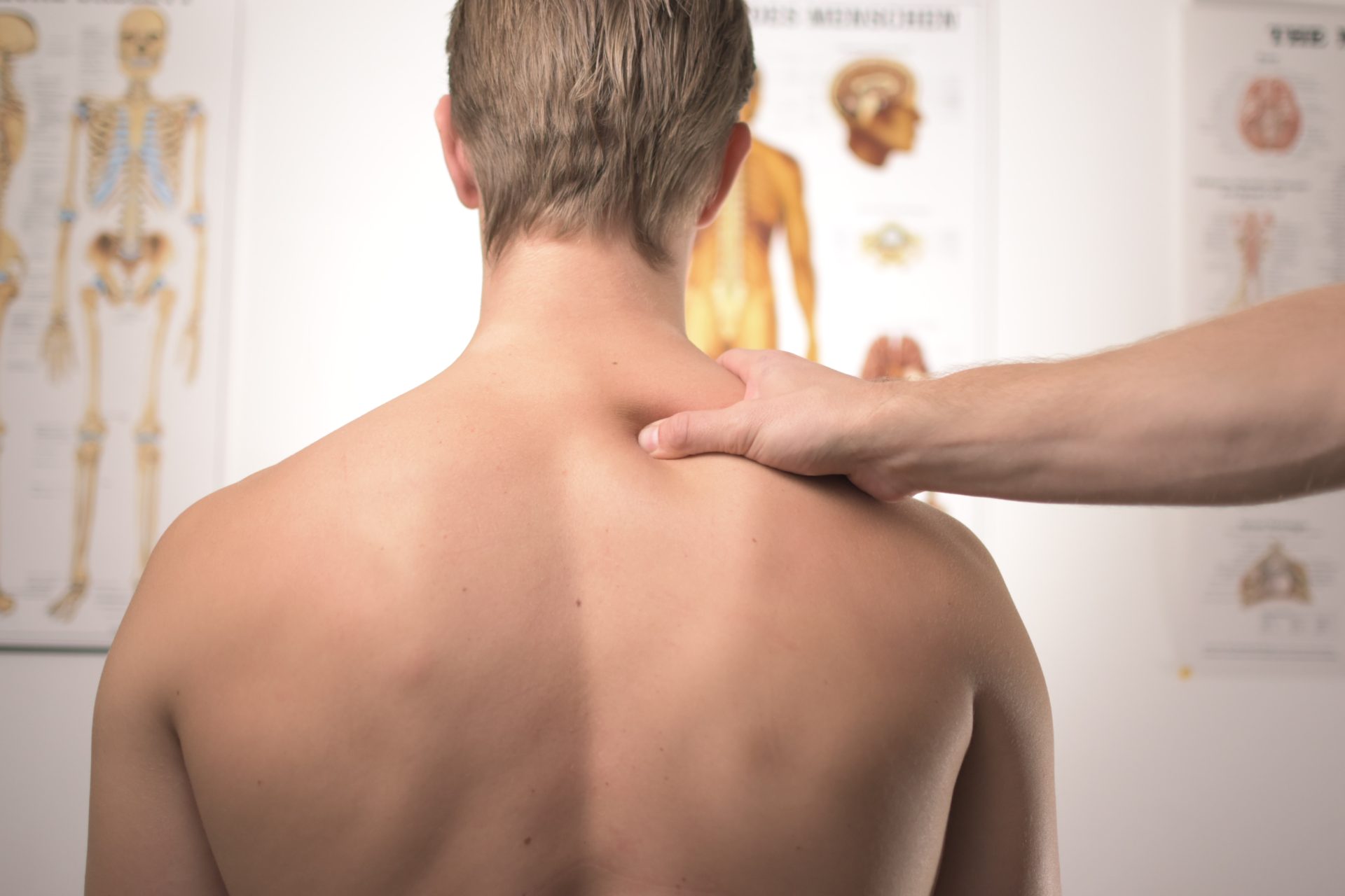 肩甲骨の位置異常をどう修正する 肩甲骨位置と肩後方タイトネスの関係 Curious Physiotherapy
